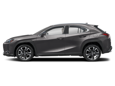 Lexus UX 300h