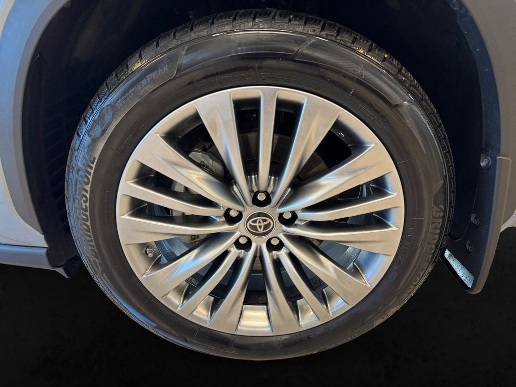 Used 2023 Moon Dust Toyota Platinum image 9