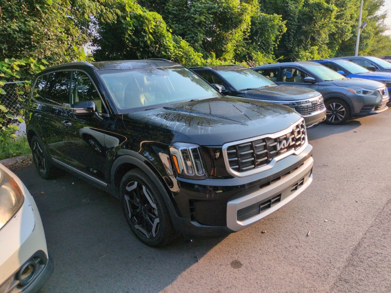 Black 2023 Kia Telluride SUV / Crossover All-Wheel Drive Automatic