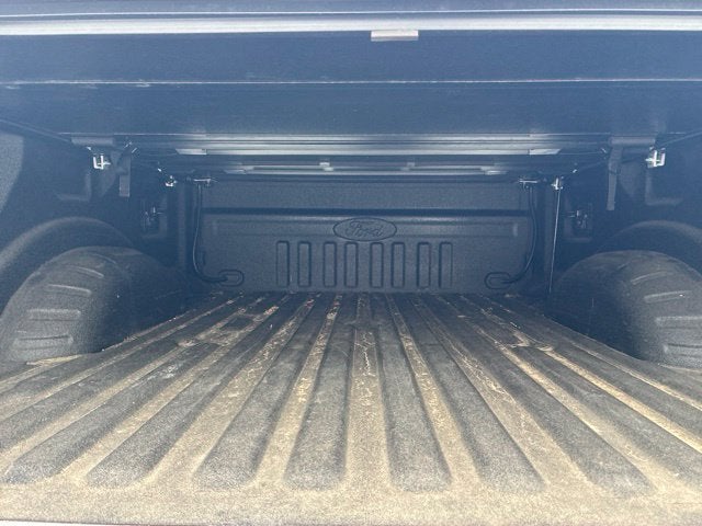 2022 Ford F-250SD PLATINUM Crew Cab Pickup Slide 15