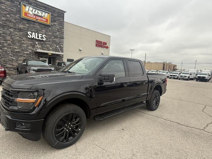 New 2025 Ford F-150 - photo 1