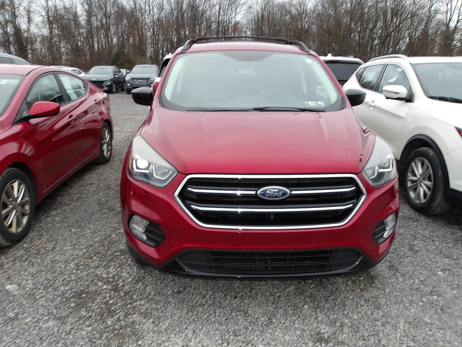 2019 Ford Escape SE AWD