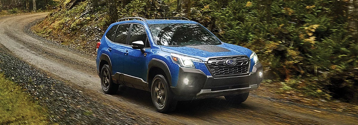 Keep Your Subaru Running Smoothly with Regular Oil Changes near Brownstown MI