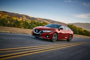 Maxima