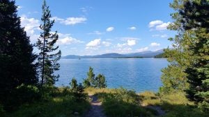 A landscape point of view shot of the woods, looking onto a lake.