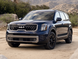 A blue 2024 Kia Telluride.