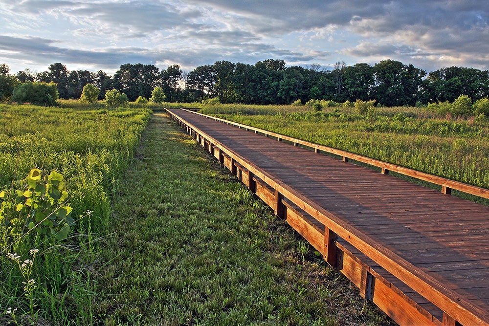 A photo taken by Kelly Riehl Miller of the boardwalk at Glacier Ridge Park.