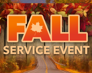 fallservice
