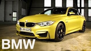 m3andm4