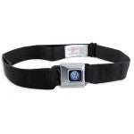 VW Seat belt