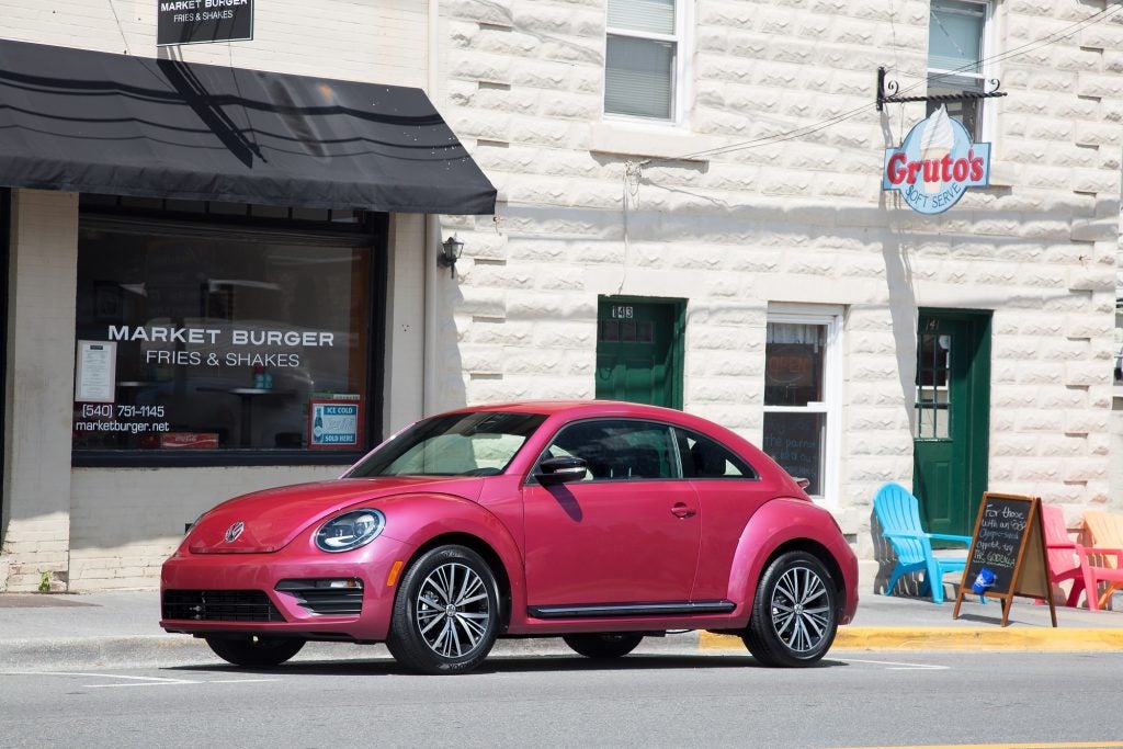 2017_pinkbeetle_6287