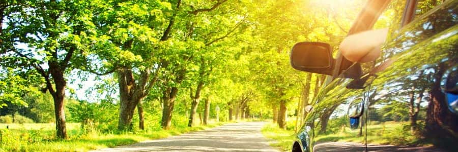 Black Car Driving Down a Sunlit Road Lined With Trees