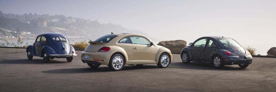 vw beetle