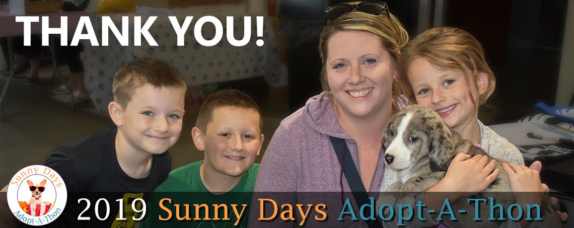 sunnyside dog rescue