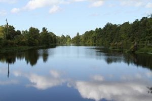 guide for new chesapeake va residents