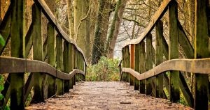 Bridge in a Park