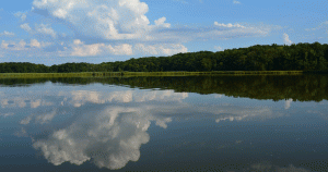 View of the water in Chesapeake Bay