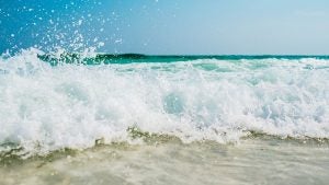 Beaches in Chesapeake, VA
