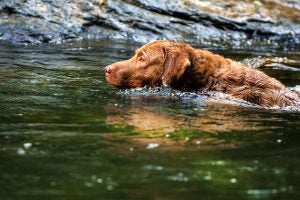 blog 3