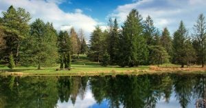 Lakeside view | Priority Toyota Chesapeake