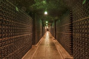 blog 16