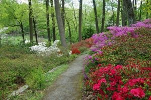 blog 5