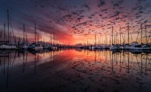 blog 4