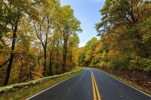 blog 8