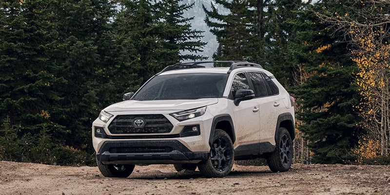 2022 Toyota RAV4 Overview in Myrtle Beach, SC