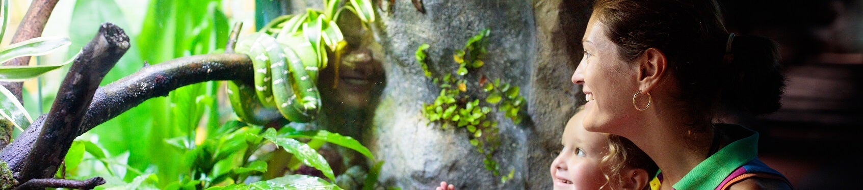 The Wilds Columbus Zoo