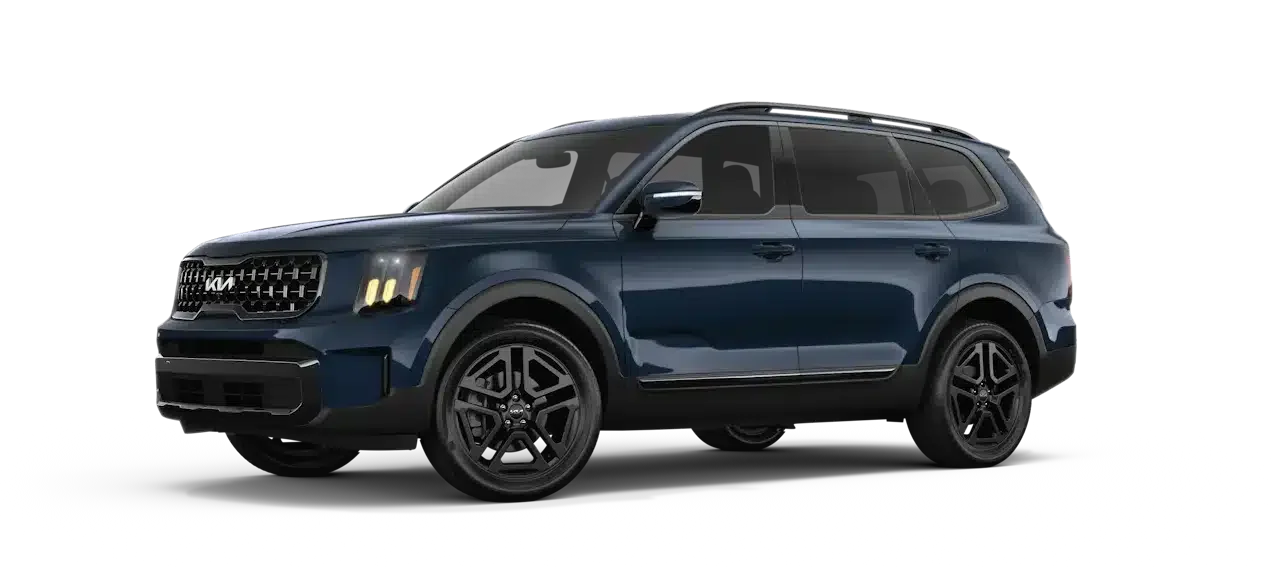 X-Line Trim (available for EX and SX models):