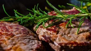Steak and Seafood Restaurants in Kingsport, TN
