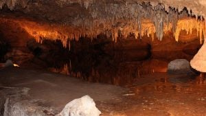 Must Do Activities near Kingsport, TN