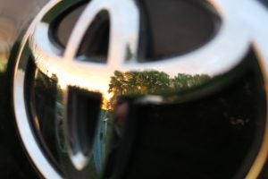 blog 8