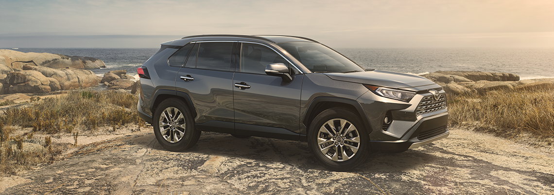 A grey 2019 Toyota RAV4 parked on a cliff at an ocean overlook