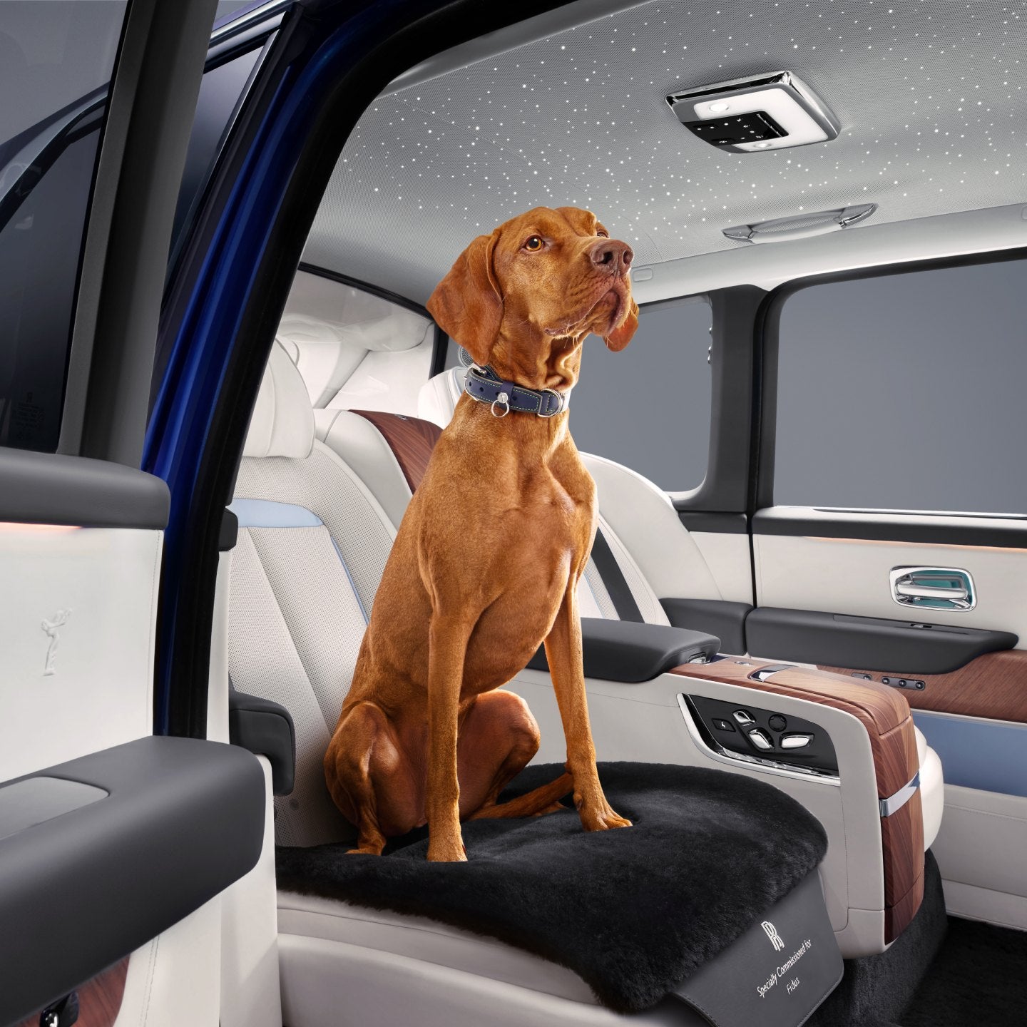 A dog on a Rolls-Royce lambswool and leather Pet Seat Mat