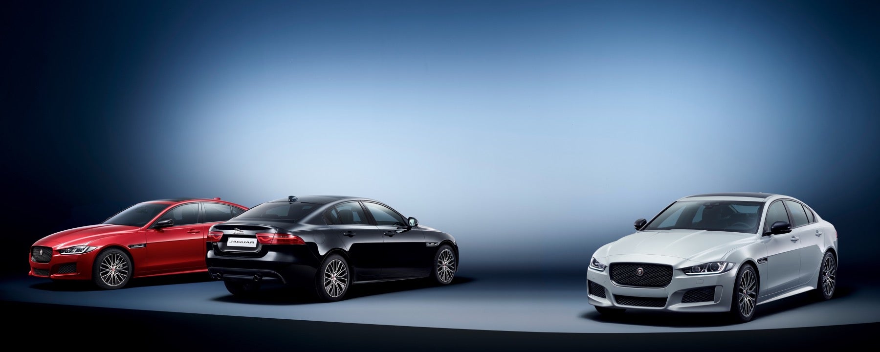 Jaguar Feature