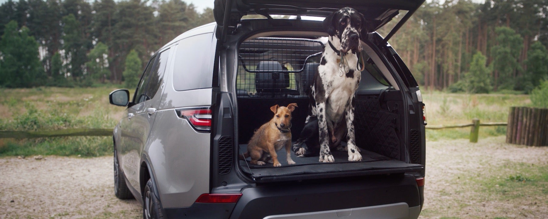 Land Rover Feature Pet Package