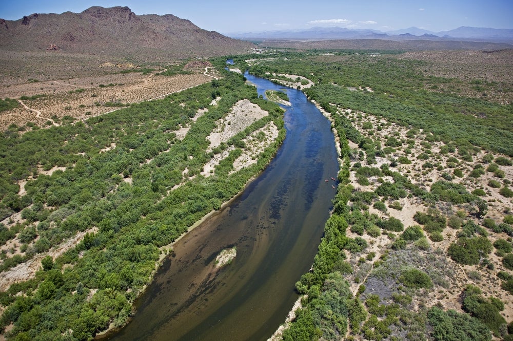 Salt River in Arizona