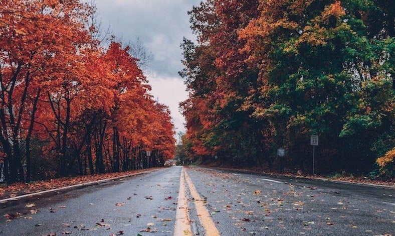 Tips For Getting Your Car Fall Ready