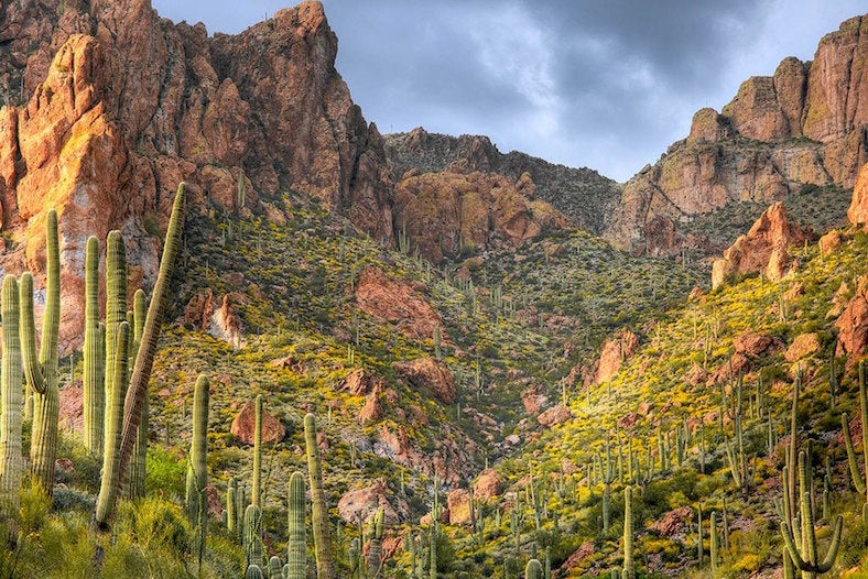 The Apache Trail