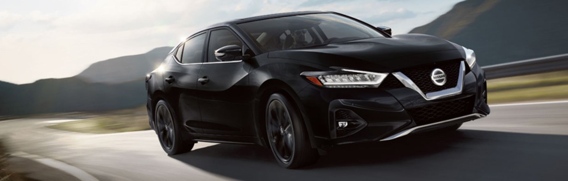 2020-maxima