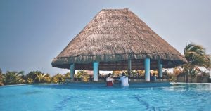 Swim up beach bar Fort Lauderdale, FL | Gunther Kia