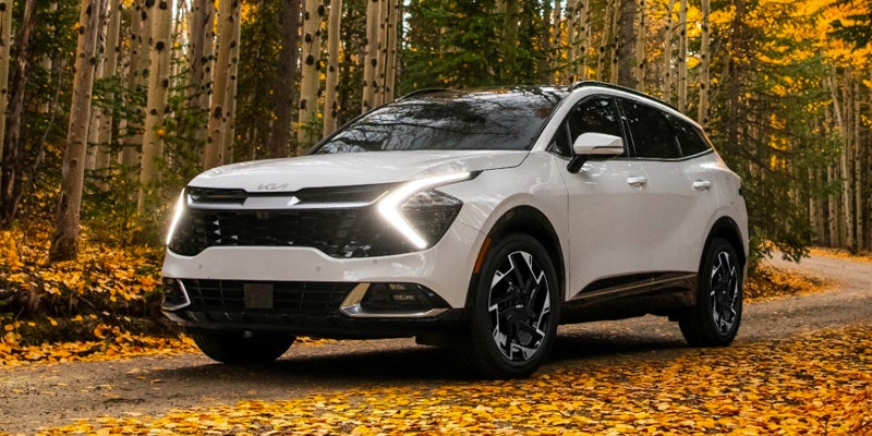 2024 Kia Sportage In Woods with Yellow Leaves
