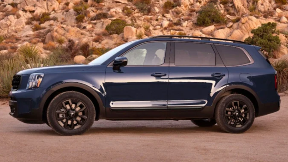 2024 Kia Telluride Against Rock Wall