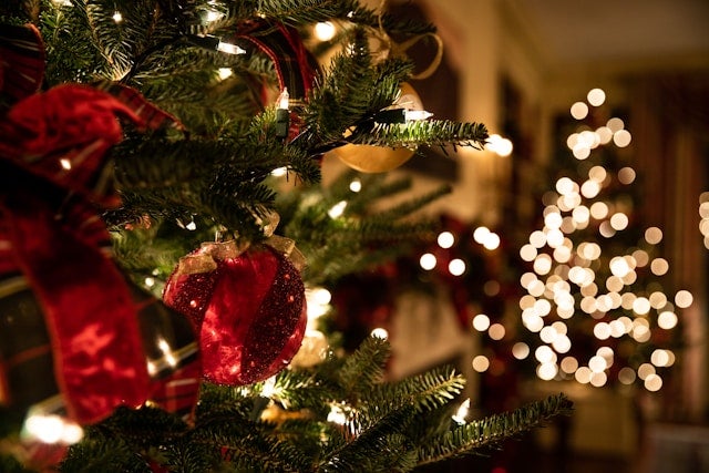 Green Christmas tree