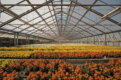 Local Brewster, NY Nursery and Garden Centers
