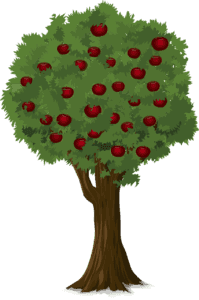 Apple Picking