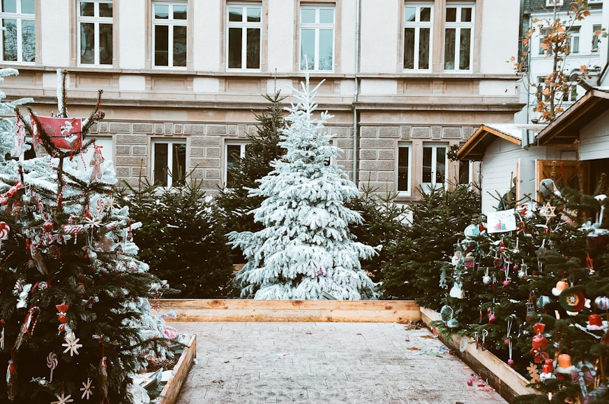 Christmas Tree Farms