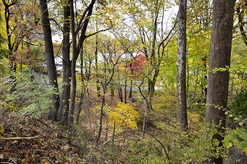 nature area